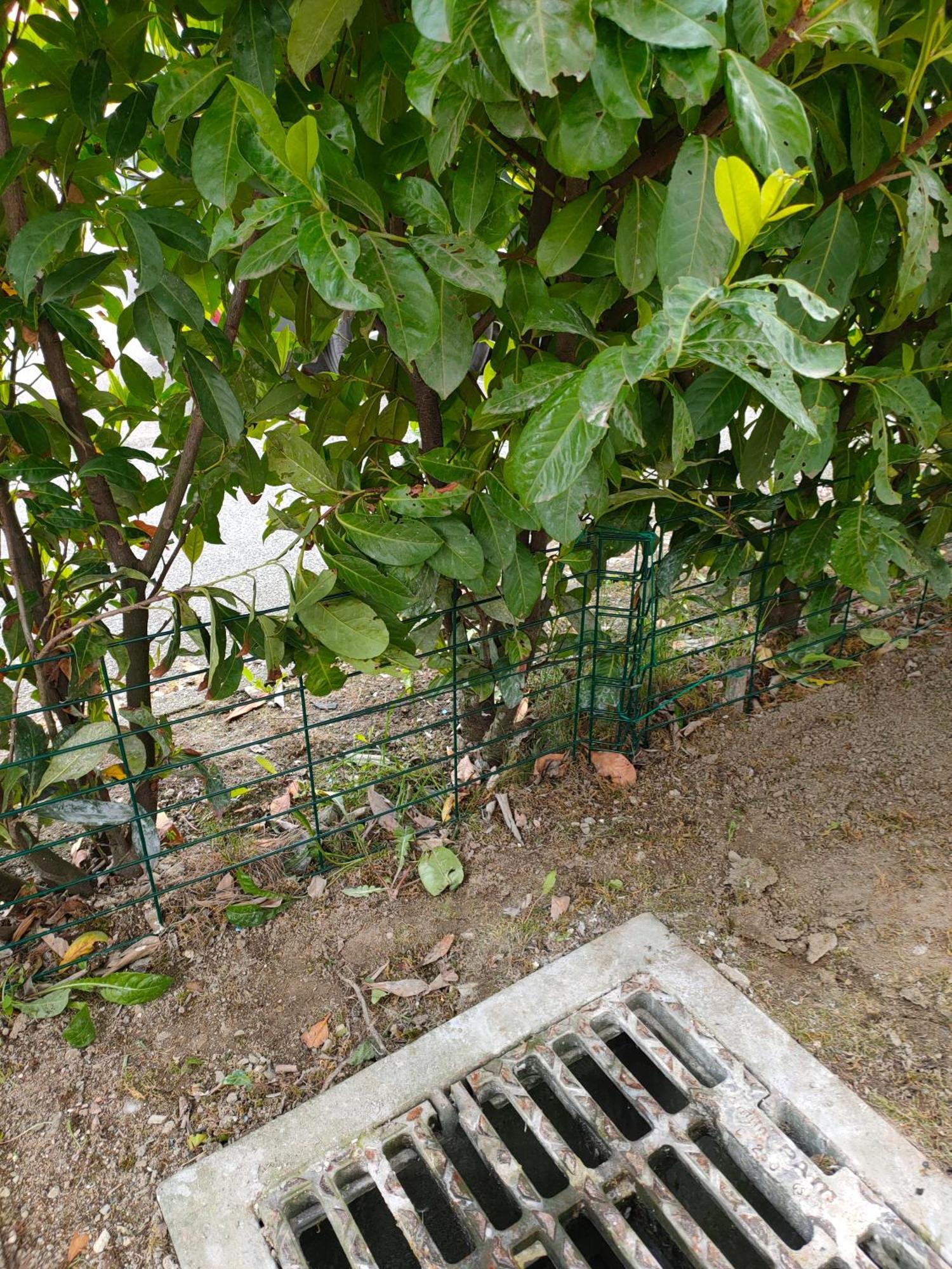 Le Nid Savoyard Appartement Faverges Buitenkant foto