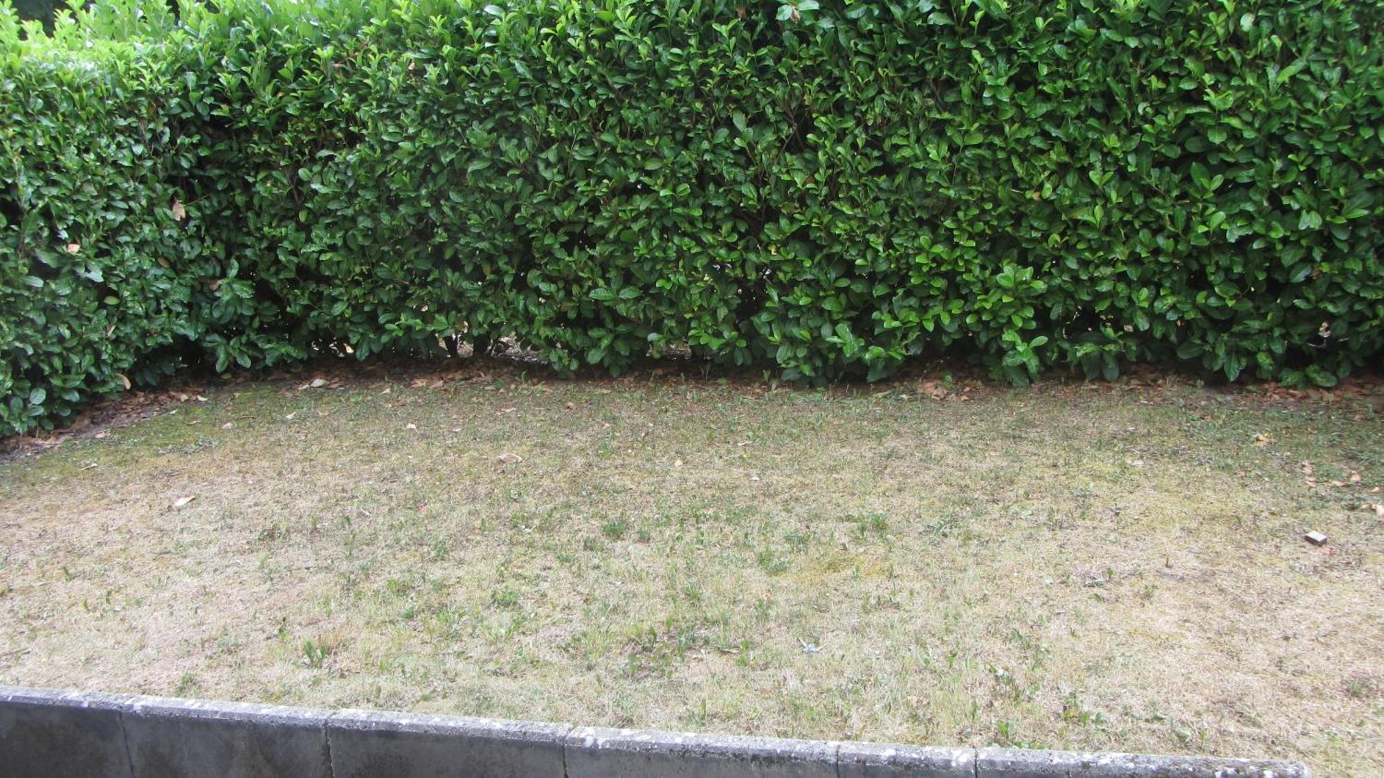 Le Nid Savoyard Appartement Faverges Buitenkant foto